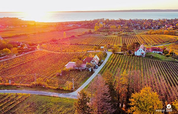 balatonfelvidek csopak őszí tájkép